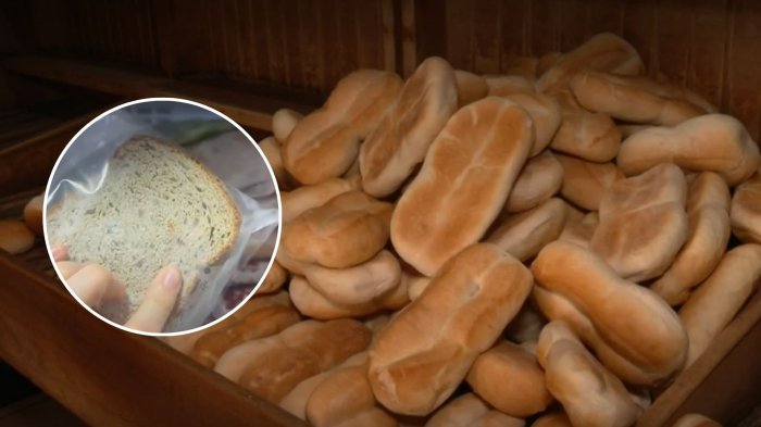 ¿Alguna vez has congelado el pan?: Estos son los beneficios que trae para tu bolsillo y salud
