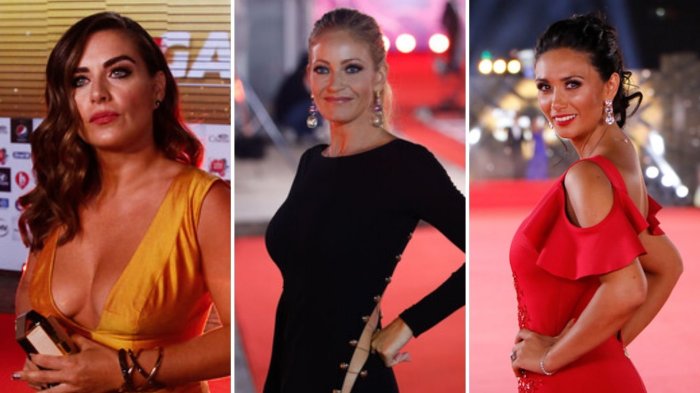 Gala del Viña 2025: ¿Qué famosos desfilarán junto a sus hijos por primera vez?