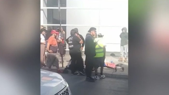 VIDEO | Desarticulan parte 