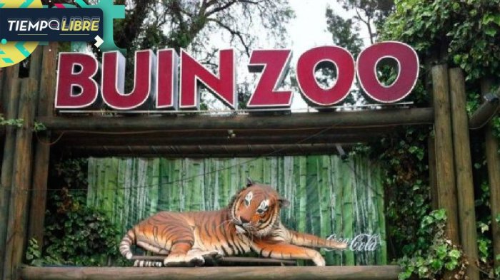 ¡Panoramas para tu cumpleaños! Estos lugares te regalan cosas GRATIS en tu día