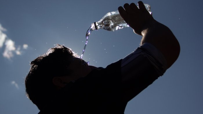 Alerta por calor extremo en Santiago: Temperaturas sobre 36° este fin de semana