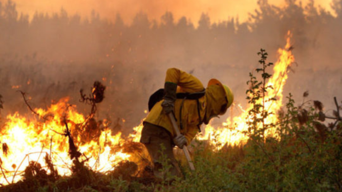 Incendios forestales en zona centro-sur: Declaran Alerta Roja y solicitan evacuar sectores
