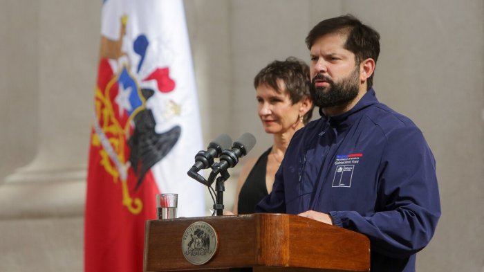Decretan Estado de Emergencia para regiones del Maule y Ñuble por temperaturas extremas