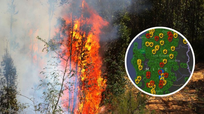 ¿Cuáles son los focos activos? Revisa el MAPA de los incendios forestales en tiempo real
