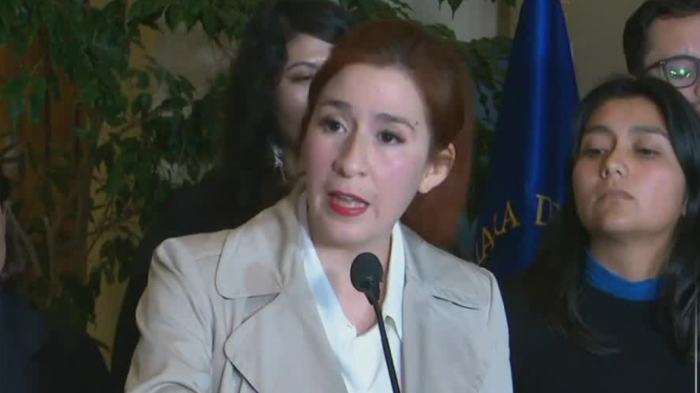 Querella del CDE complica a Catalina Pérez: Este lunes se revisa su desafuero