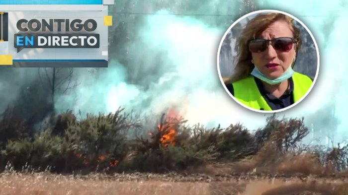 Alcaldesa de Pitrufquén reiteró evacuación tras reactivación del incendio: “Avanzó rápidamente”