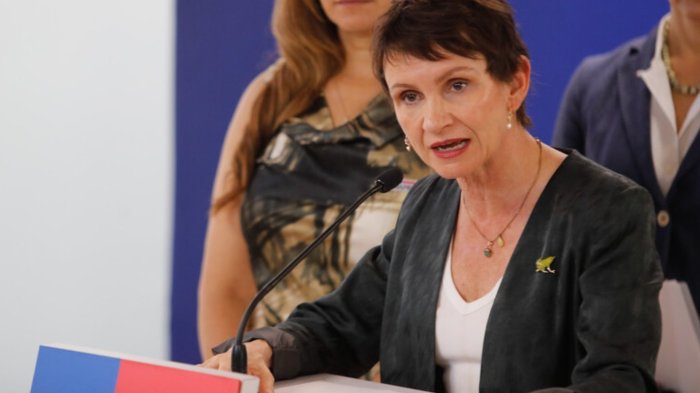 Tohá por incendios en el sur: 