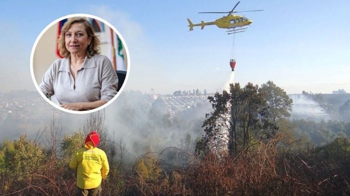 Conaf confirma intencionalidad en incendios forestales que afectan a La Araucanía