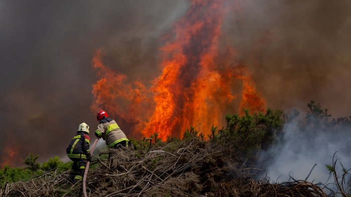 Renuevan toque de queda por incendios forestales en La Araucanía: ¿A qué comunas se aplica?