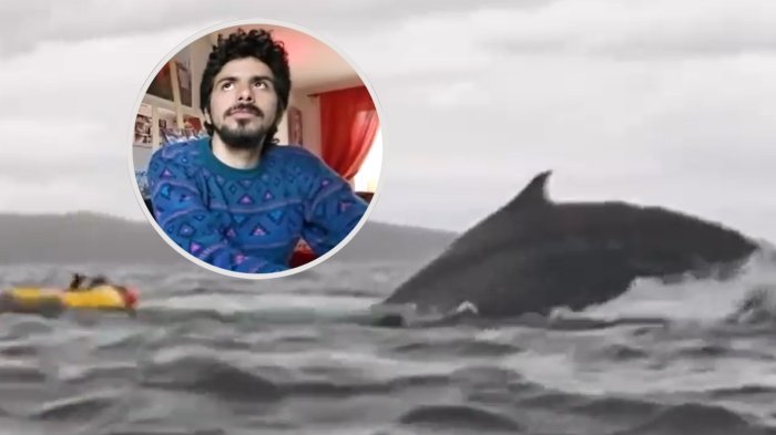 “Pensé que había muerto”: Habla joven que fue tragado por una ballena en Estrecho de Magallanes
