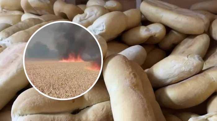 Se perdieron hectáreas de trigo: ¿Subirá el pan a raíz de los incendios forestales?