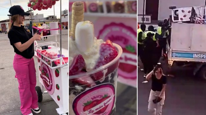 “No hago daño”: Inició negocio ambulante en Iquique, requisaron su carro y se hizo viral en TikTok