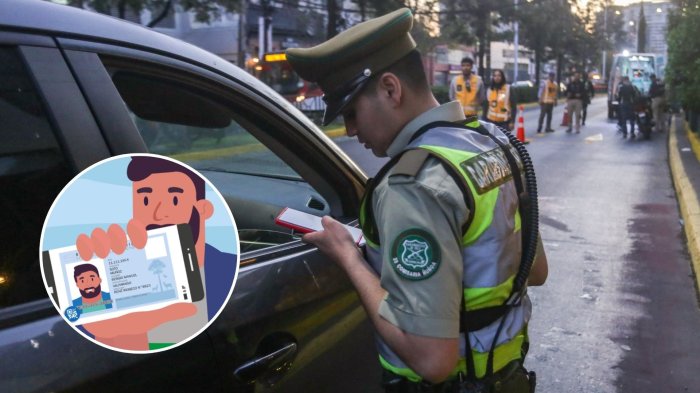 Estos son los conductores del SEGUNDO GRUPO que puede obtener la licencia de conducir digital