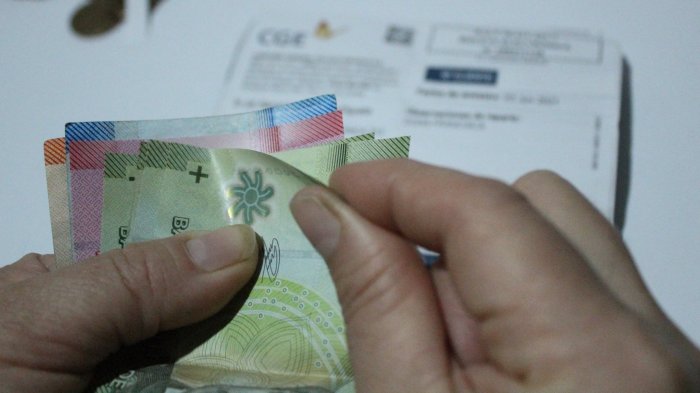 Aporte Familiar Permanente o Bono Marzo 2025: Requisitos, fechas de pago y cómo postular