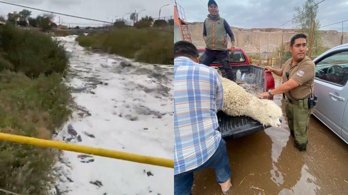 Por segundo día consecutivo: Senapred pide evacuar sector Yalquincha en Calama por desborde del río Loa