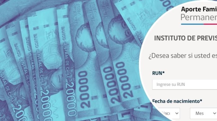 Revisa aquí con tu RUT si eres beneficiario del ex Bono Marzo 2025