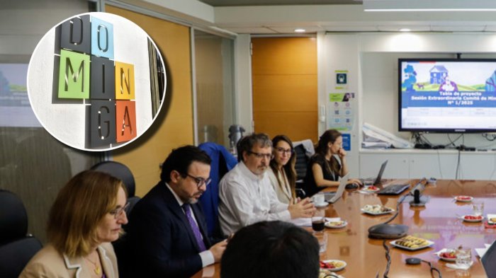 Tribunal Ambiental causa nuevo revés en caso Dominga: Comité de Ministros deberá volver a votarlo