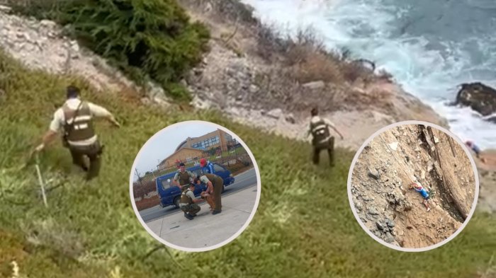 Mascota y su dueño cayeron por acantilado en Valparaíso: Obligó a despliegue de Carabineros