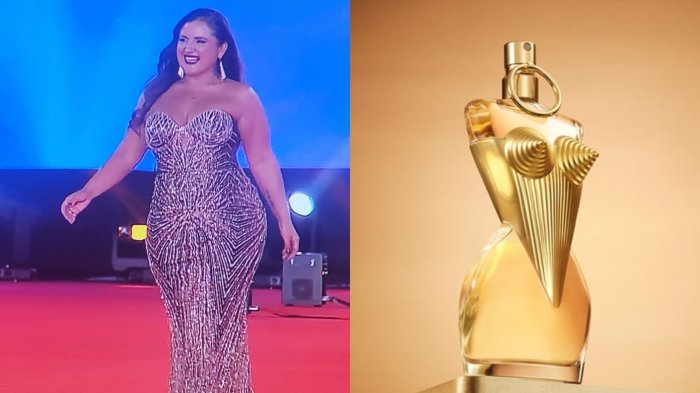 Destacando looks y criticando otros: Los mejores memes de la Gala Viña 2025