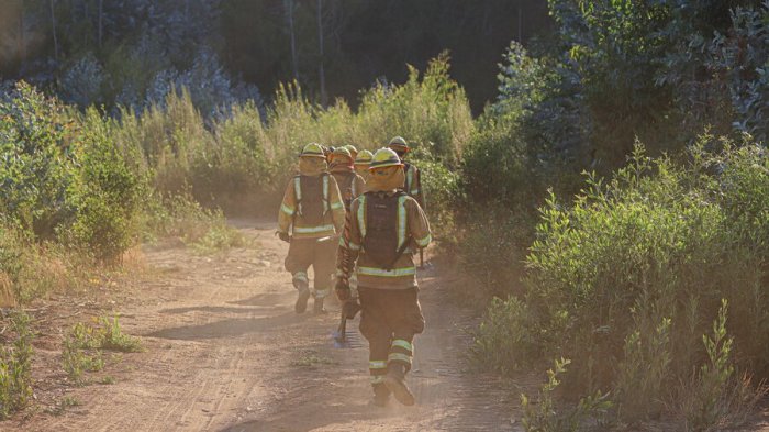Detuvieron a 2 bomberos como sospechosos por incendios de 2025