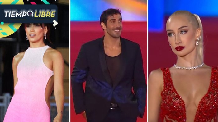 ¡Puro estilo! Ex participantes de Gran Hermano deslumbraron con sus looks en la Gala de Viña 2025