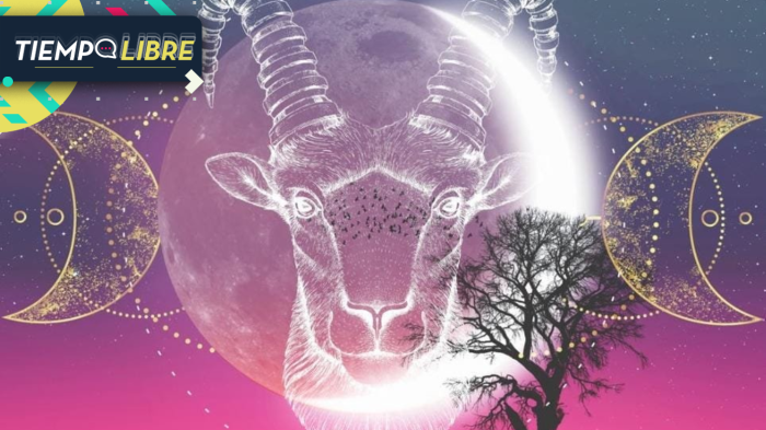 Luna menguante en Capricornio: ¿Cómo afectará esta fase a cada signo del zodiaco?