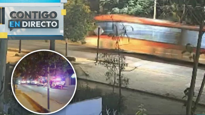 Lomo de toro sin pintar provoca estragos en La Pintana: Pasajero de micro terminó fracturado