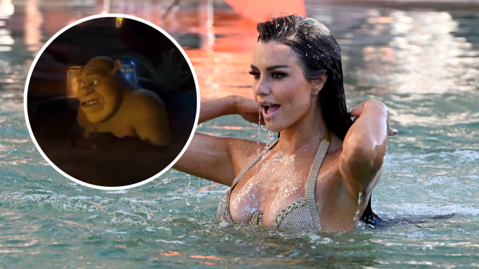 Recordó al pantano de Shrek: Los memes del piscinazo de Emilia Dides en Viña 2025