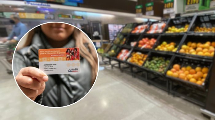 Beca BAES 2025: ¿Cuándo cargan el dinero y de cuánto es el nuevo monto?