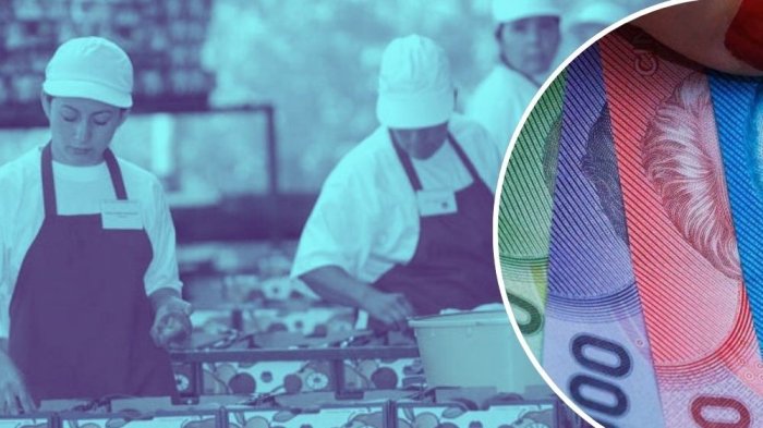 Bono al Trabajo de la Mujer: Requisitos para recibir el pago este 28 de febrero