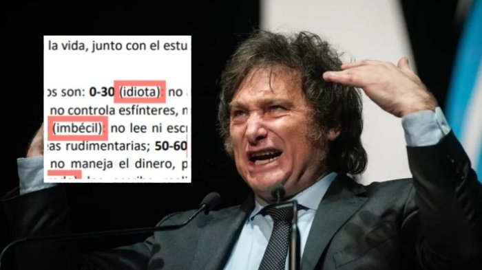 Gobierno de Milei optó por términos ofensivos para clasificar a personas con discapacidad