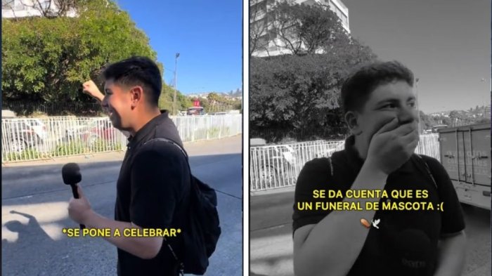 Una confusión viral: Influencer cree recibir a artista y termina en funeral de mascota