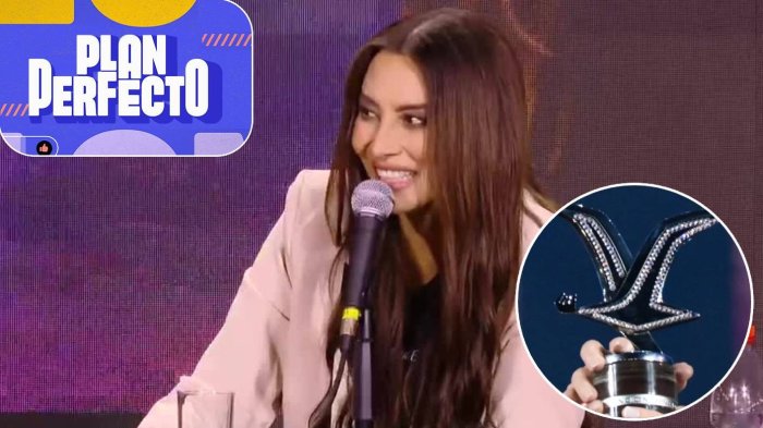 Una carrera impecable: La trayectoria de Myriam Hernández que le dio la Gaviota de Platino