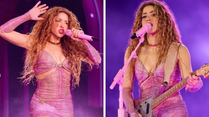 ¿Qué pasará con Shakira en Chile? Productora Fénix actualizó situación tras shows suspendidos