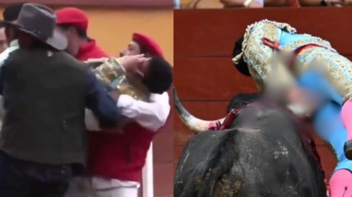 Torero mexicano sufrió brutal cornada: Quedó grave tras cirugía de 8 horas