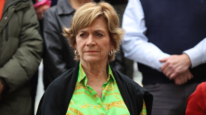 “Vamos a recuperar nuestro país”: La polémica propuesta carcelaria de Evelyn Matthei