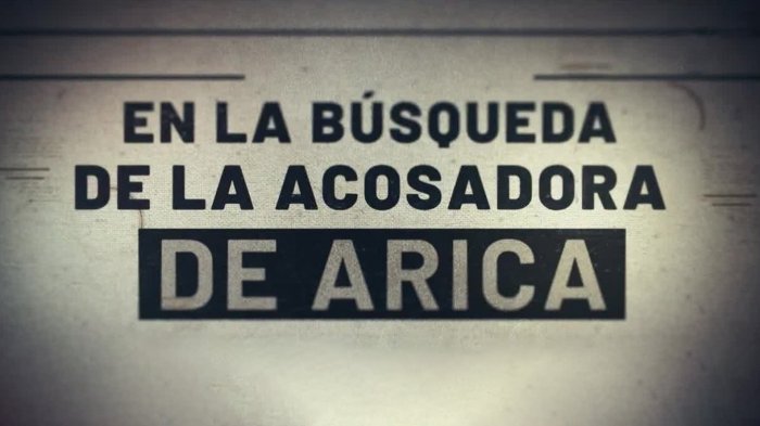 “Es un demonio vestido de mujer”: Periodista de Arica es denunciada por acoso y amenazas