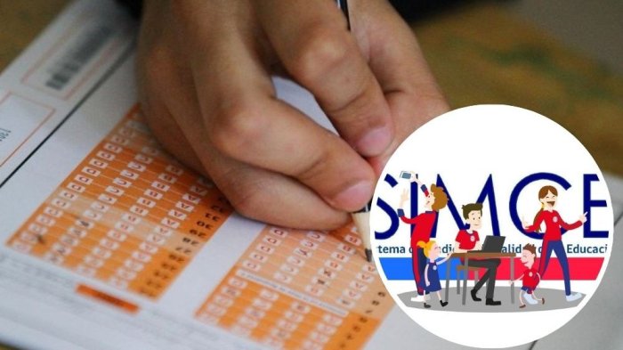 Resultados SIMCE muestran mejoras en 4to básico y continuidad de la brecha de género