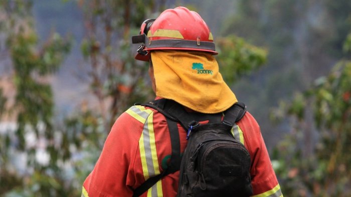 Brigadista forestal murió mientras combatía incendio en Ercilla