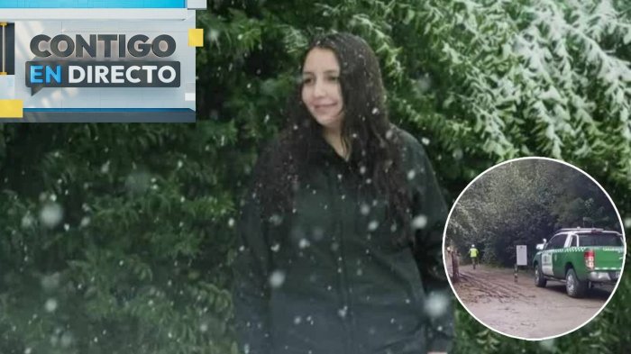 Sin rastro de Javiera: La intensa búsqueda de joven desaparecida tras hacer trekking en Cochamó