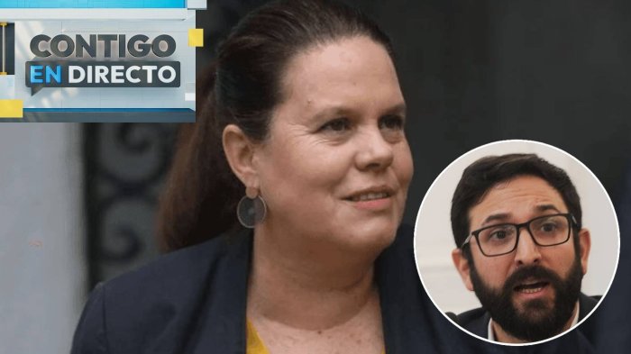 Remezón en La Moneda: Maya Fernández y Miguel Crispi renunciaron a sus cargos