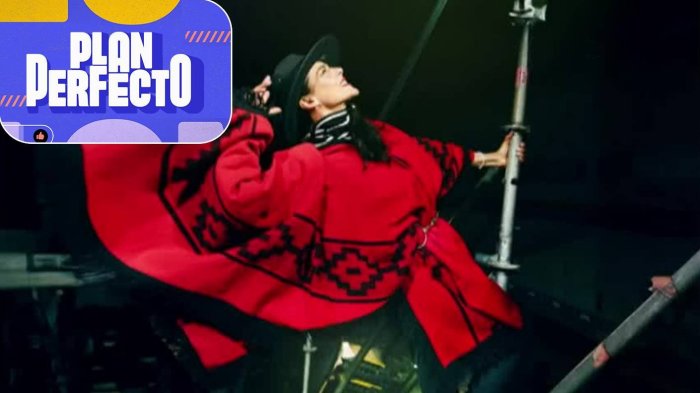 ¿Igual que en sus mejores años? Revelan cuánto habría cobrado Tonka Tomicic en Festival de Coyhaique