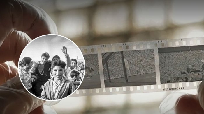 Registros inéditos: Revelan más de mil fotos desconocidas del mundial del '62 que se jugó en Chile