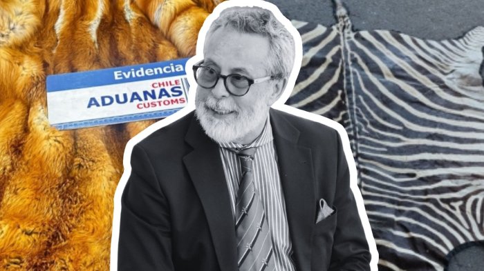 ¿Quién es Camilo Sanhueza? El ex embajador chileno investigado por presunto contrabando de pieles