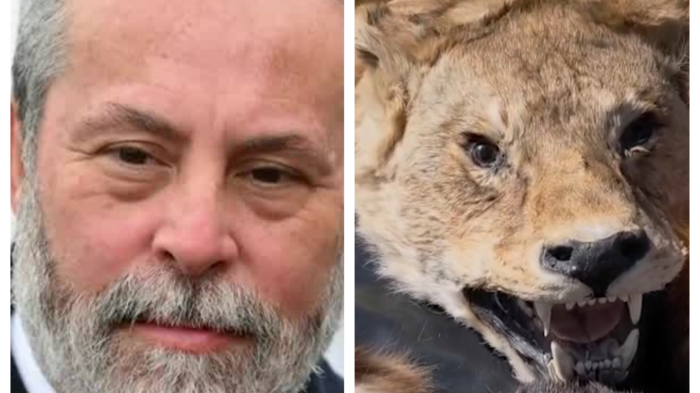 Exembajador chileno es investigado por contrabando de pieles exóticas