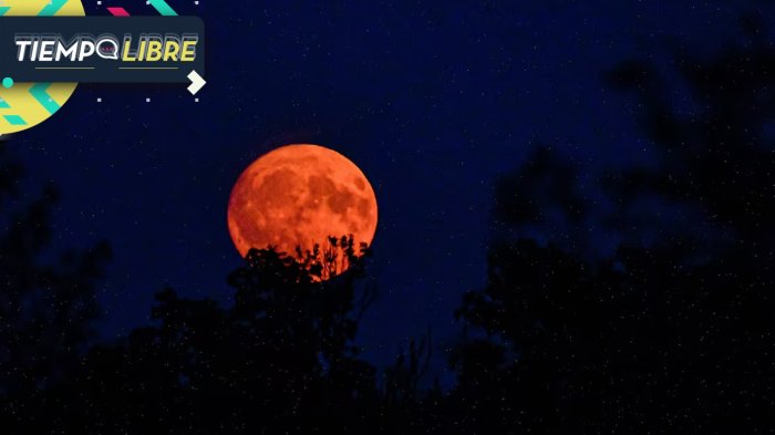 Eclipse lunar 2025: ¿Por qué se le llama “Luna de sangre”?