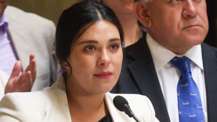 “Es un cahuín de poca monta”: Karol Cariola reacciona a filtración de chats con Irací Hassler