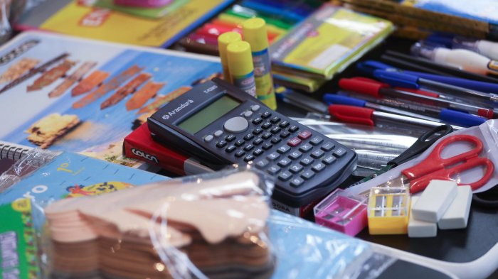 Programa Útiles Escolares: ¿Quiénes pueden acceder al beneficio gratuito?