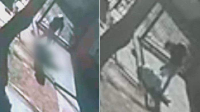 Sufrió un TEC severo: Confirmaron muerte de trabajador atacado con piedra en asalto en Peñalolén