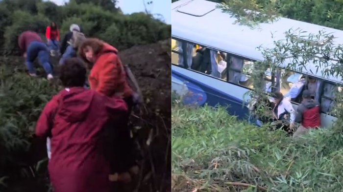 VIDEOS | Accidente en Cochamó: Bus terminó cayendo a un barranco con más de 20 pasajeros